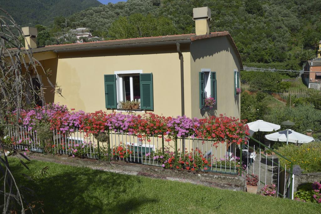 Agriturismo Millefiori 莱万托 外观 照片