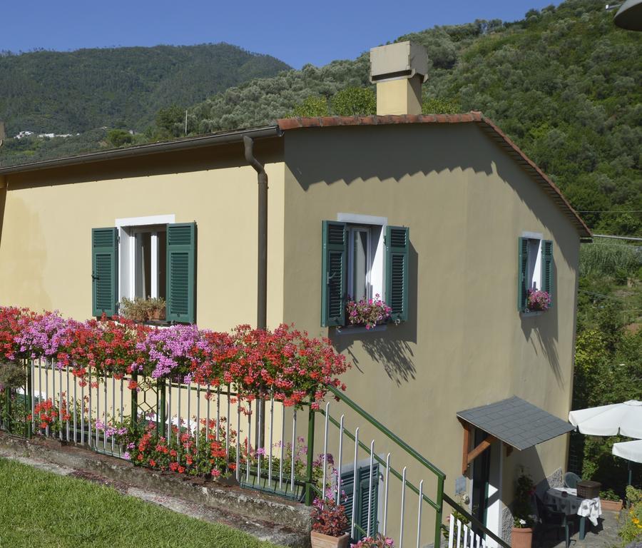 Agriturismo Millefiori 莱万托 外观 照片